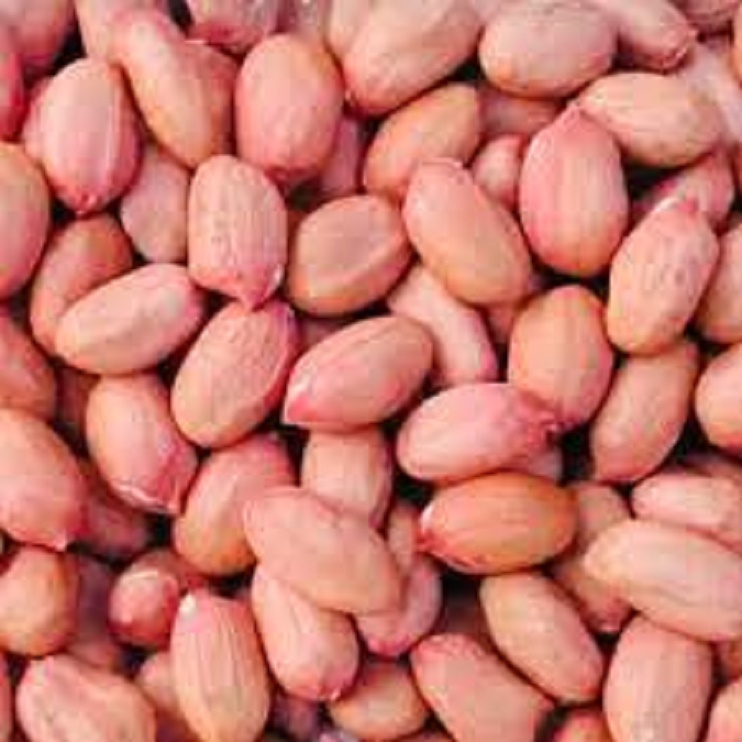 1kg đậu phộng