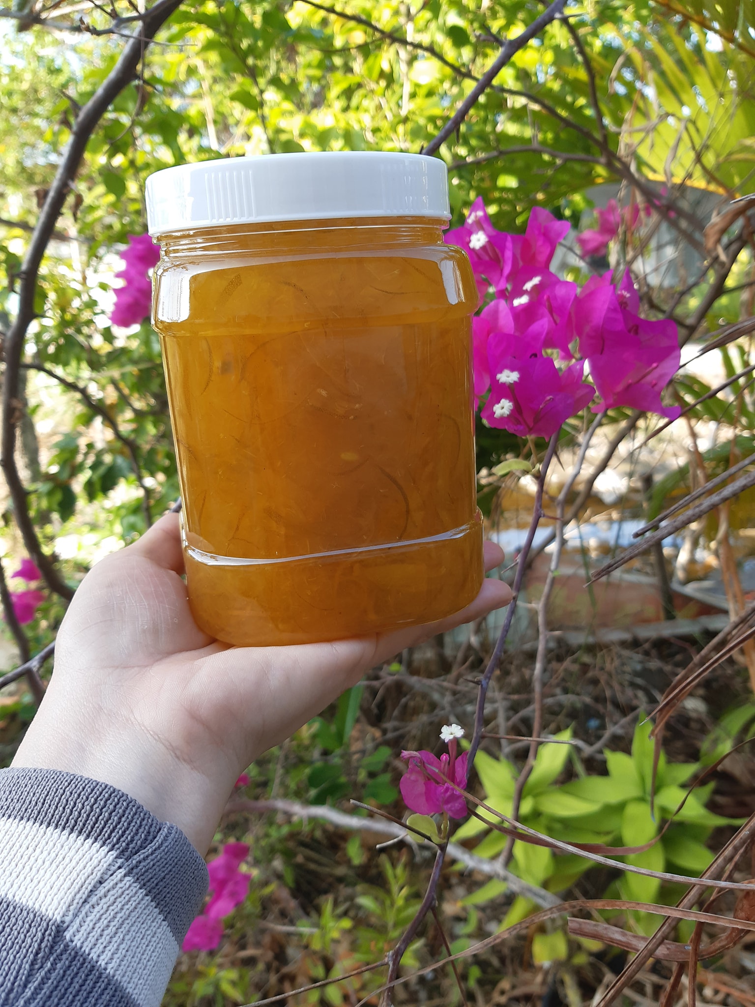 tắc xí muội nhà làm keo 1kg