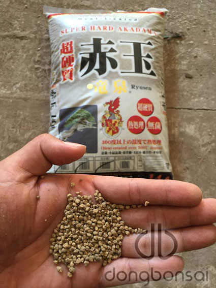Đất Akadama - Đất sét nung Hard Akadama chuyên dùng cho bonsai, sen đá, xương rồng