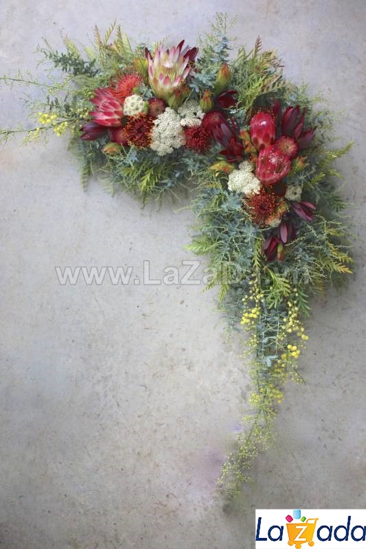 50h Hạt Giống Cây Mimosa Lá Me (| -KD: B21*X55*M224)