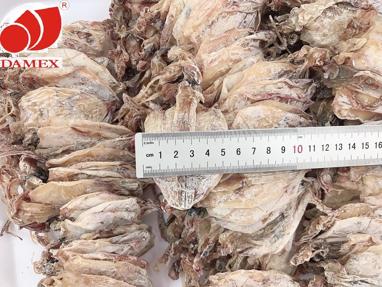 Khô mực Damex size Mini Bình Định -  Combo 39 con.