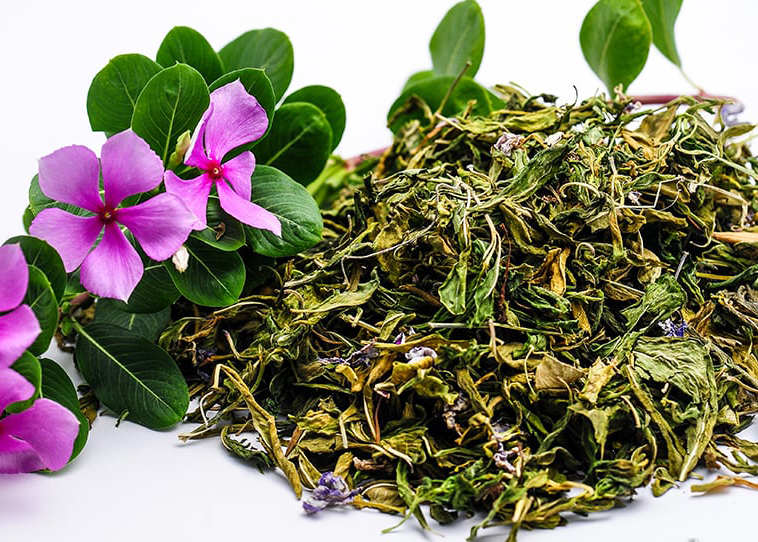 cây dừa cạn khô 500gr hàng loại 1