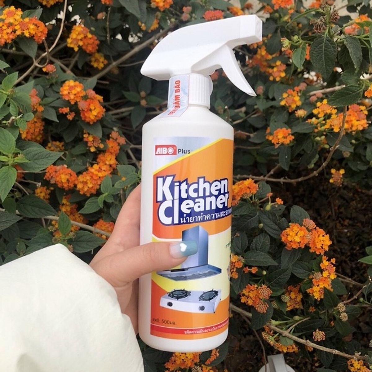 Chai Xịt Kitchen Cleaner Mỏ Vịt Vệ Sinh Nhà Bếp 500Ml