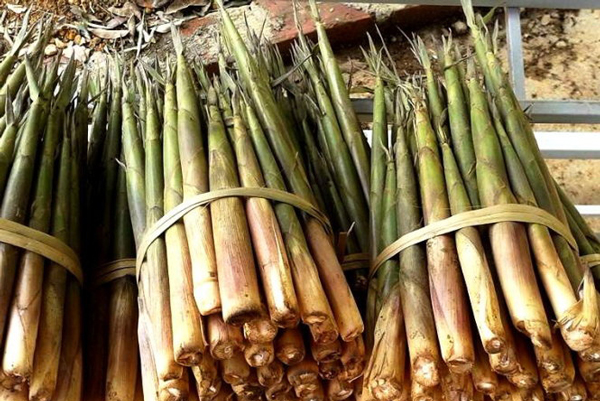 Măng trúc nhỏ Phú Vinh (gói 200g) -00041