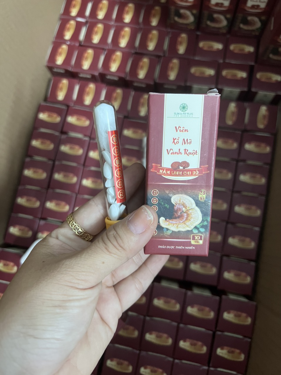 Viên Xổ Mỡ Vành Ruột – linh chi đỏ