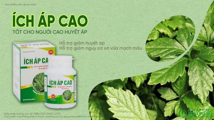ÍCH ÁP CAO - Chính hãng Kiên Minh