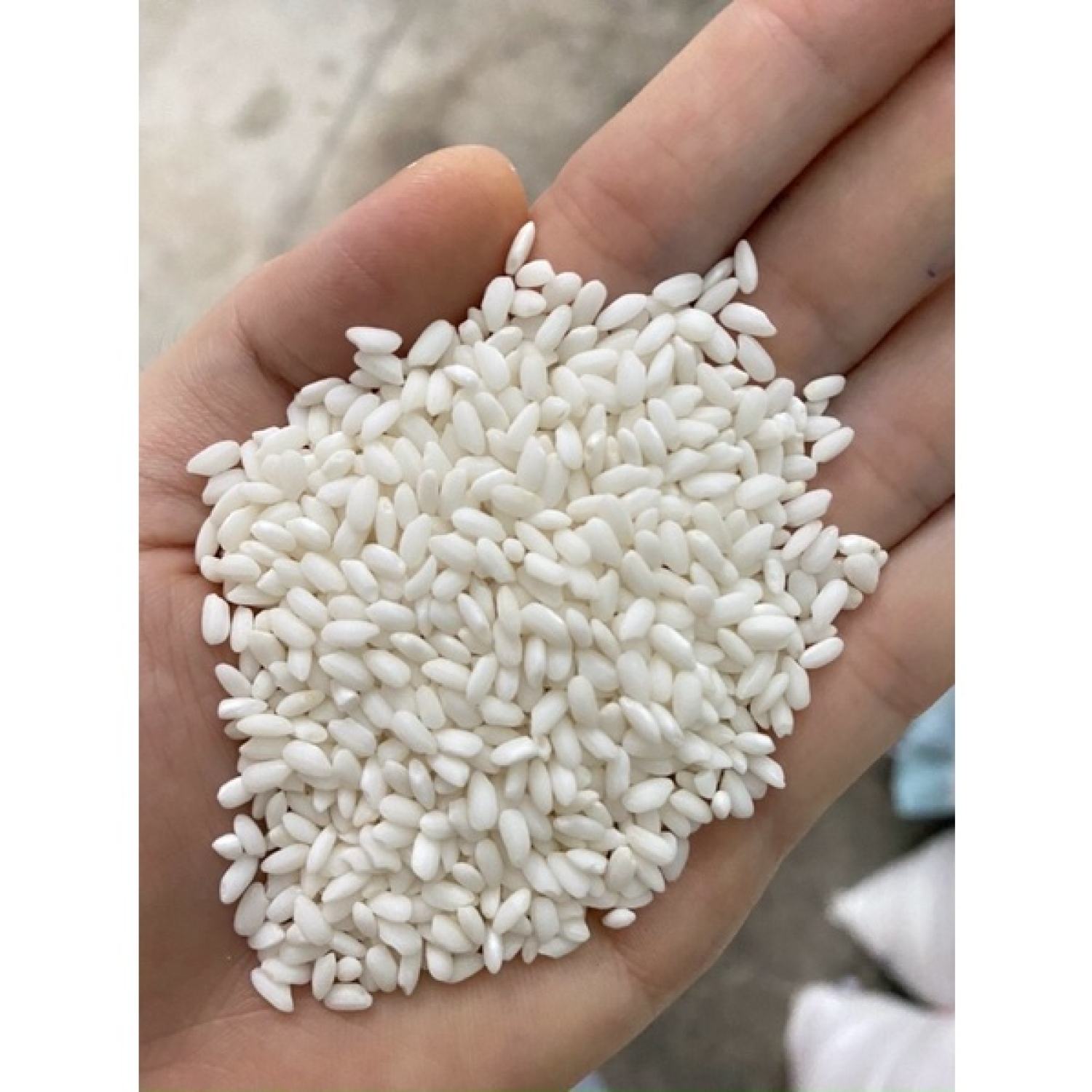 2kg nếp cái hoa vàng dẻo thơm