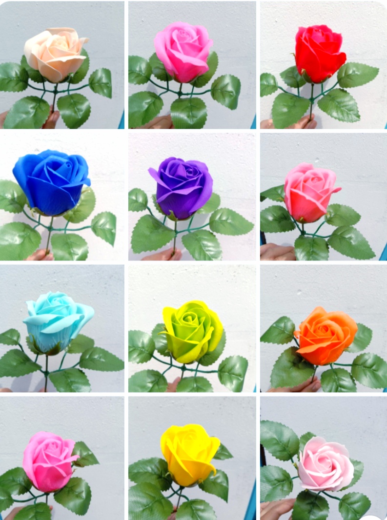 cành hoa hồng sáp ( có cành, có lá )