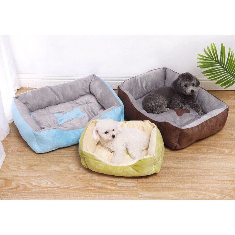 NỆM CHO CHÓ MÈO - DOBBY PET SHOP
