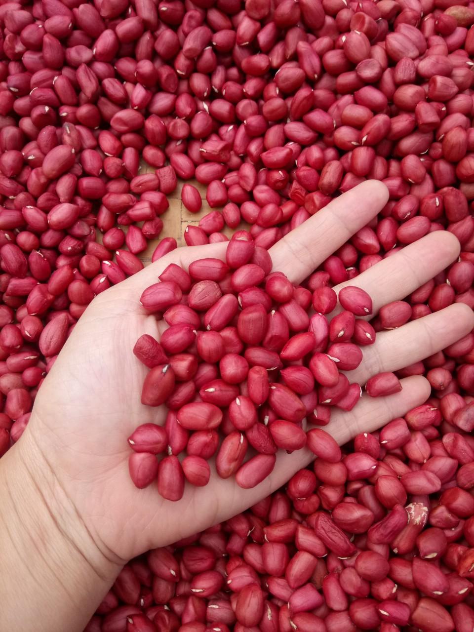 Lạc đỏ