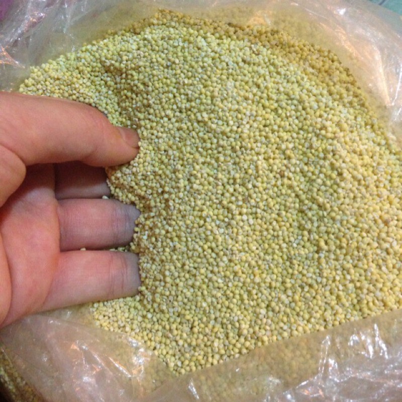 1kg HẠT KÊ NẾP VÀNG - dùng nấu chè