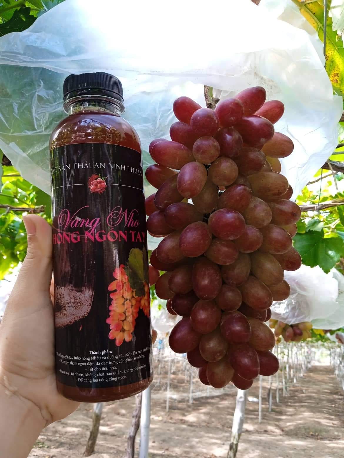 Nước Nho Hồng Nhật Lên Men (Vang Nho Hồng Nhật) 500ml & 750ml