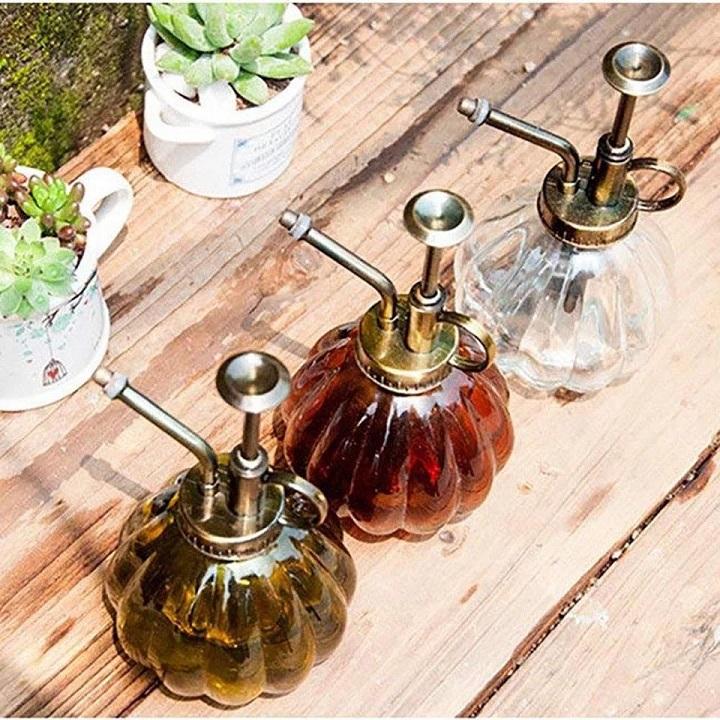 Bình xịt tưới cây cầm tay