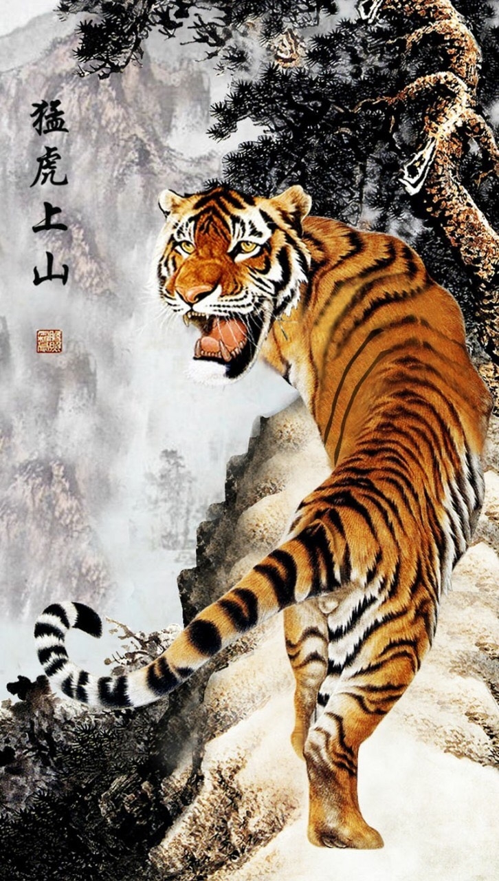 Mời tải về Hình nền con hổ cực đẹp cho máy tính  Trường Trung Cấp Nghề  Thương Mại Du Lịch Thanh Hoá