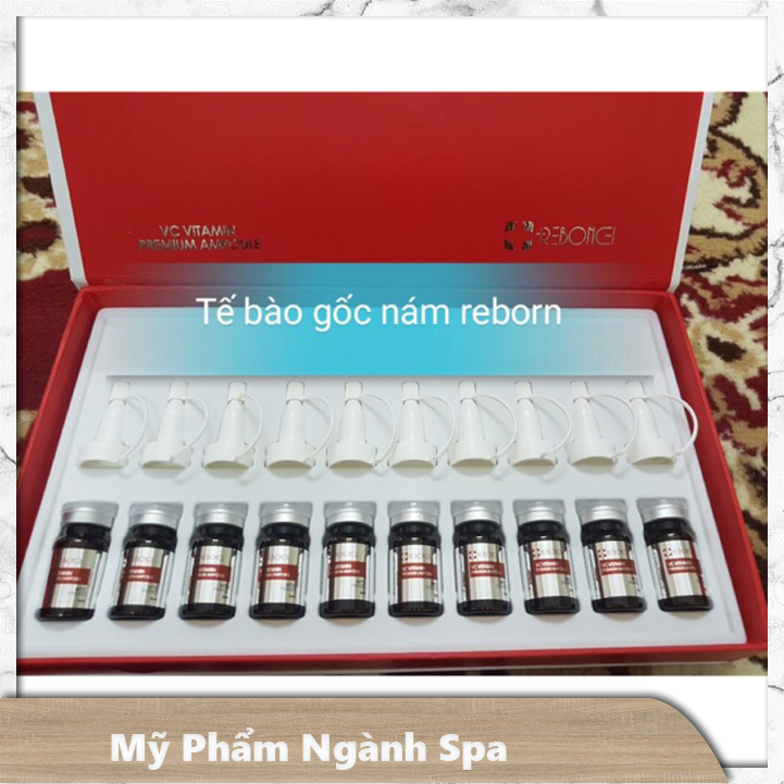 Tế bào gốc nám reborncell