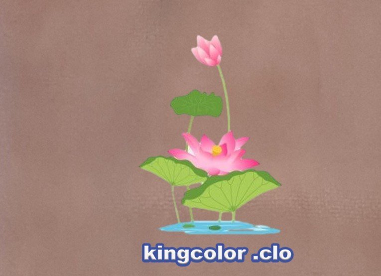 LOTUS FLOWER