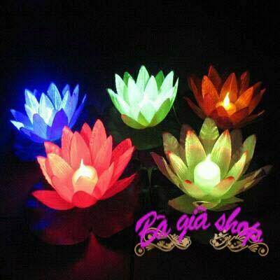 Đen hoa sen thả nước đèn led nhiều màu
