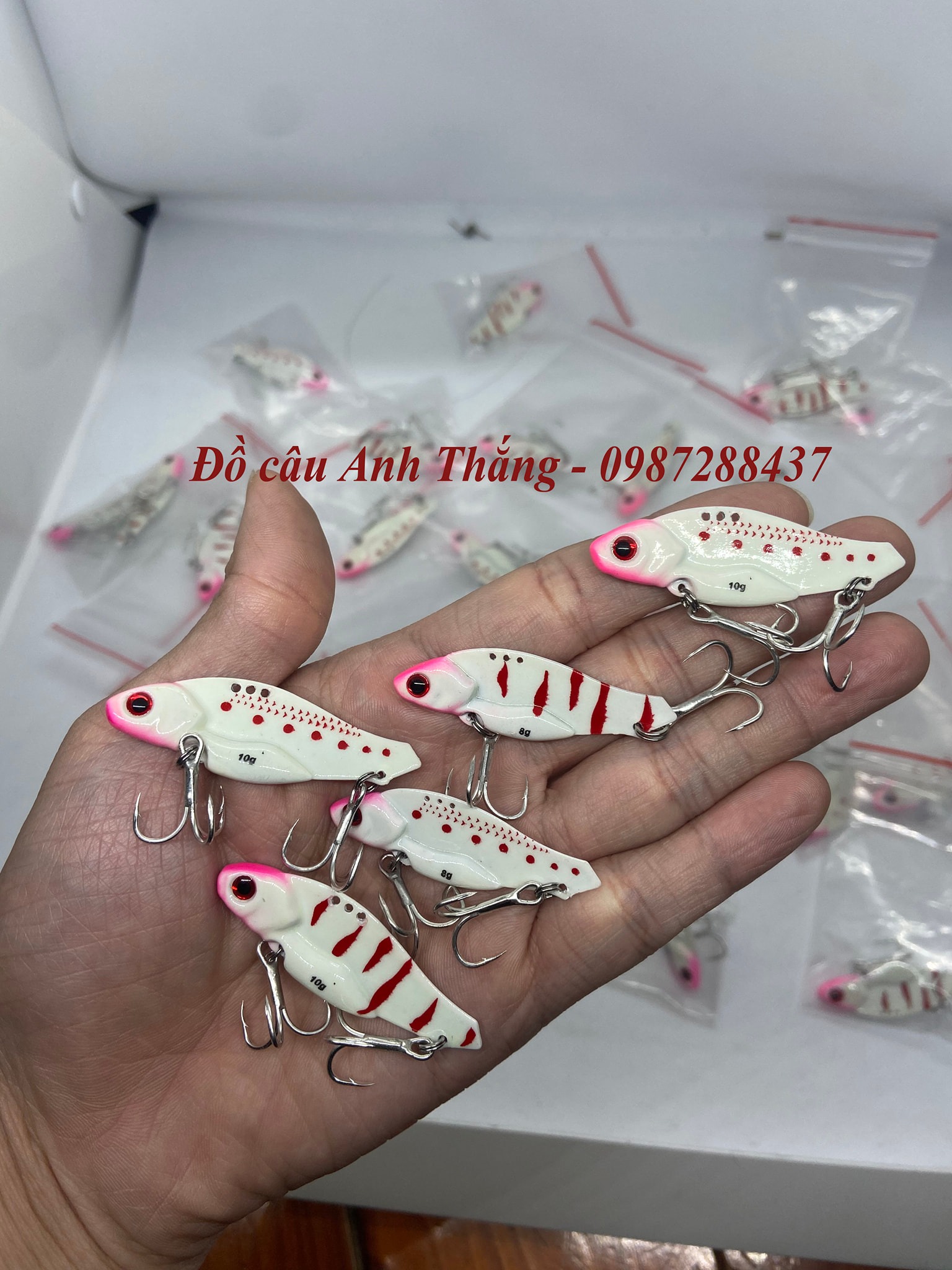Cá sắt Orichi dạ quang