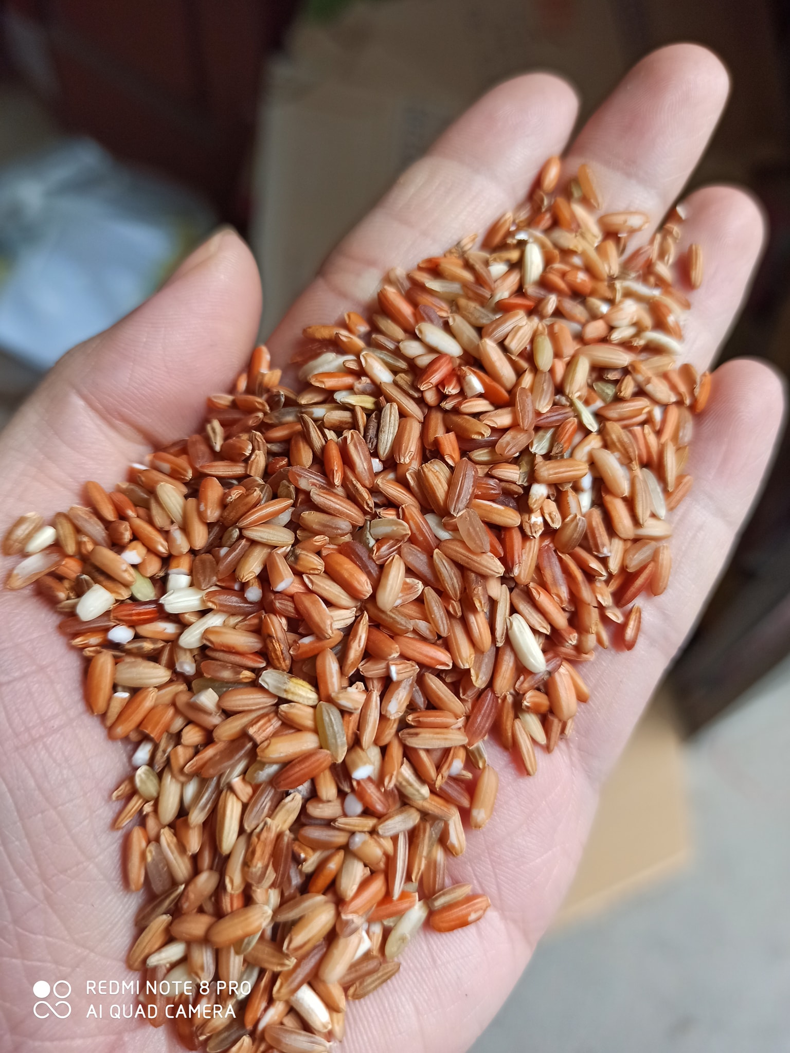 GẠO LỨT ĐỎ ĐIỆN BIÊN HÚT CHÂN KHÔNG (GÓI 2KG)