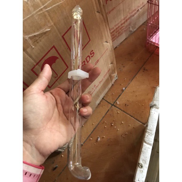 Cóng thủy tinh cho chim chào màochòemiyếnkhuyên dạng ống cao cấp loại 1 dày bền đẹp Phụ kiện Kabosa