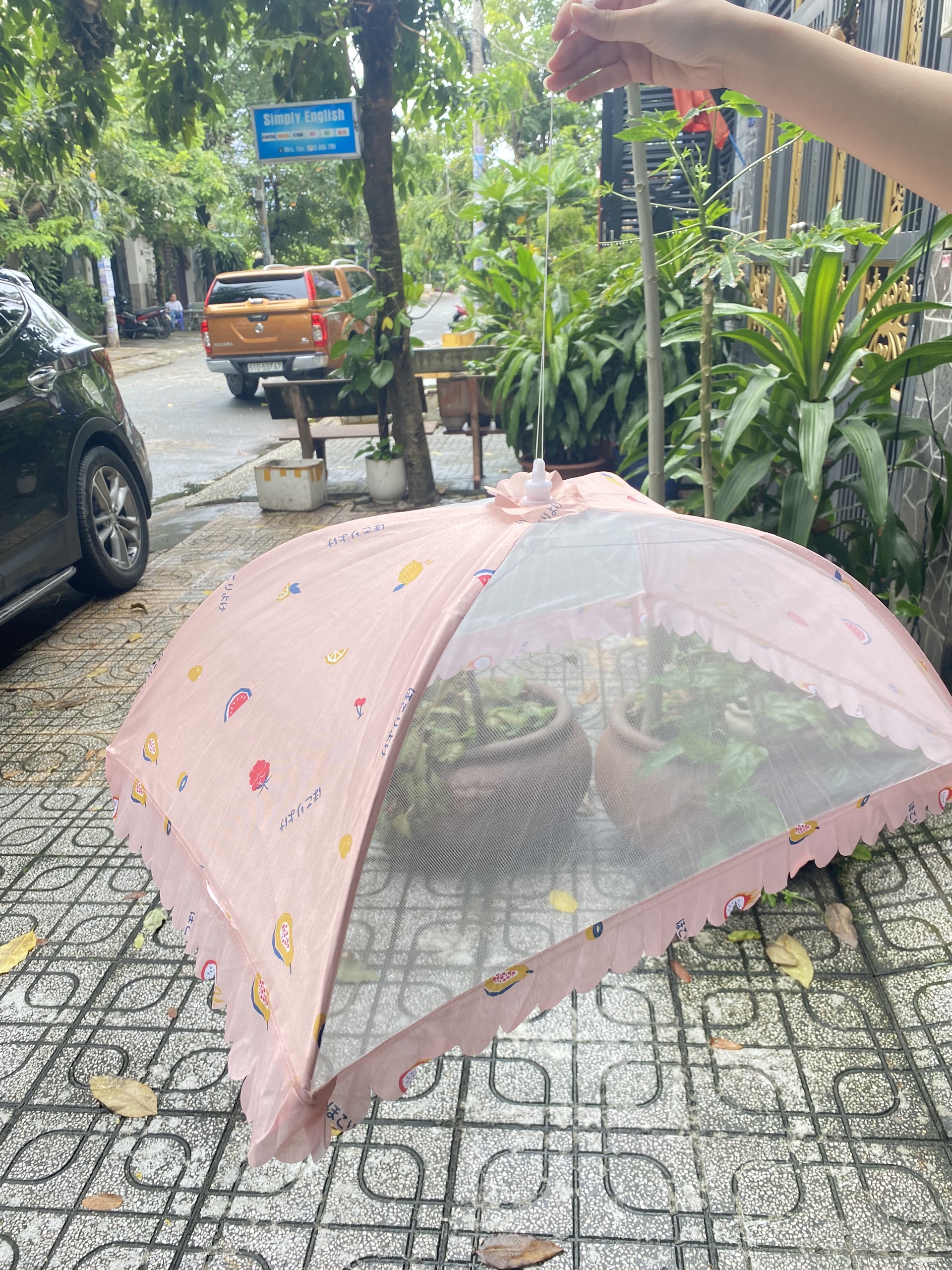 Lồng bàn gấp gọn đậy thức ăn (kèm ảnh thật) LB203