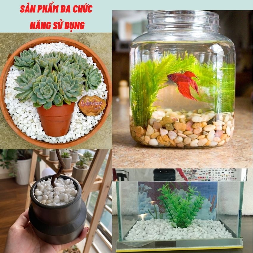Sỏi hồ cá ( Chon Màu ) , Sỏi trang trí bể cá 1KG