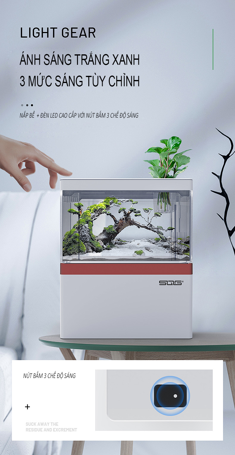 Bể cá mini để bàn Bể cá thủy sinh mini 05