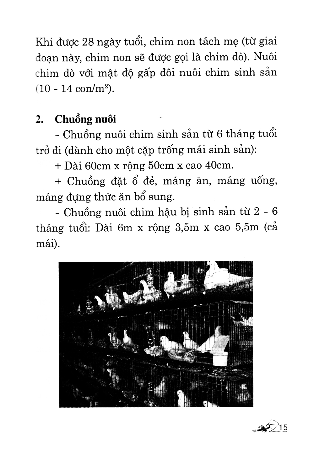 Fahasa - Kỹ Thuật Nuôi Bồ Câu (Tái Bản)