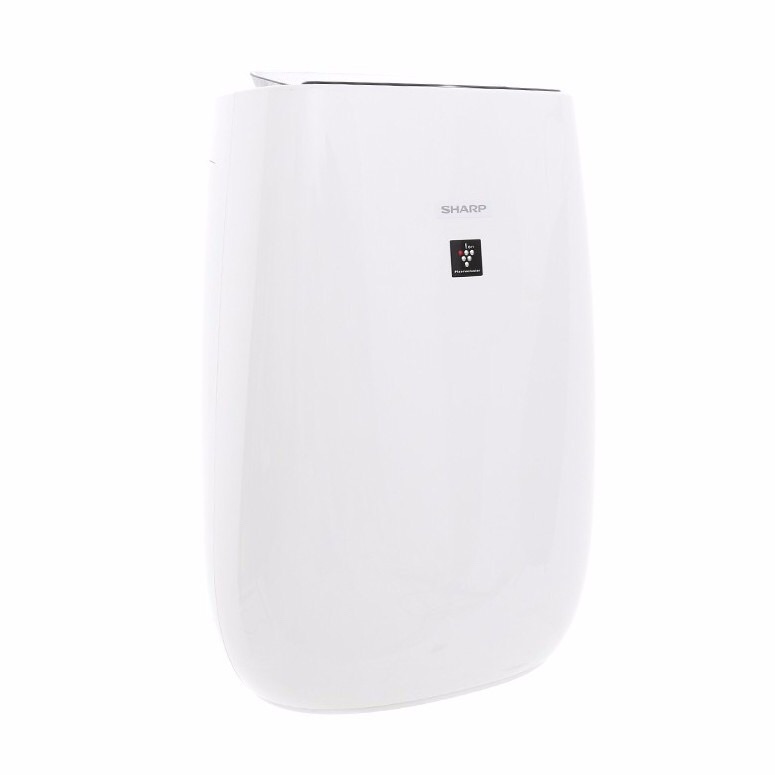 Màng lọc Sharp Hepa FZ-F50HFE ( FP-J40E-W,FP-G50E-W...)