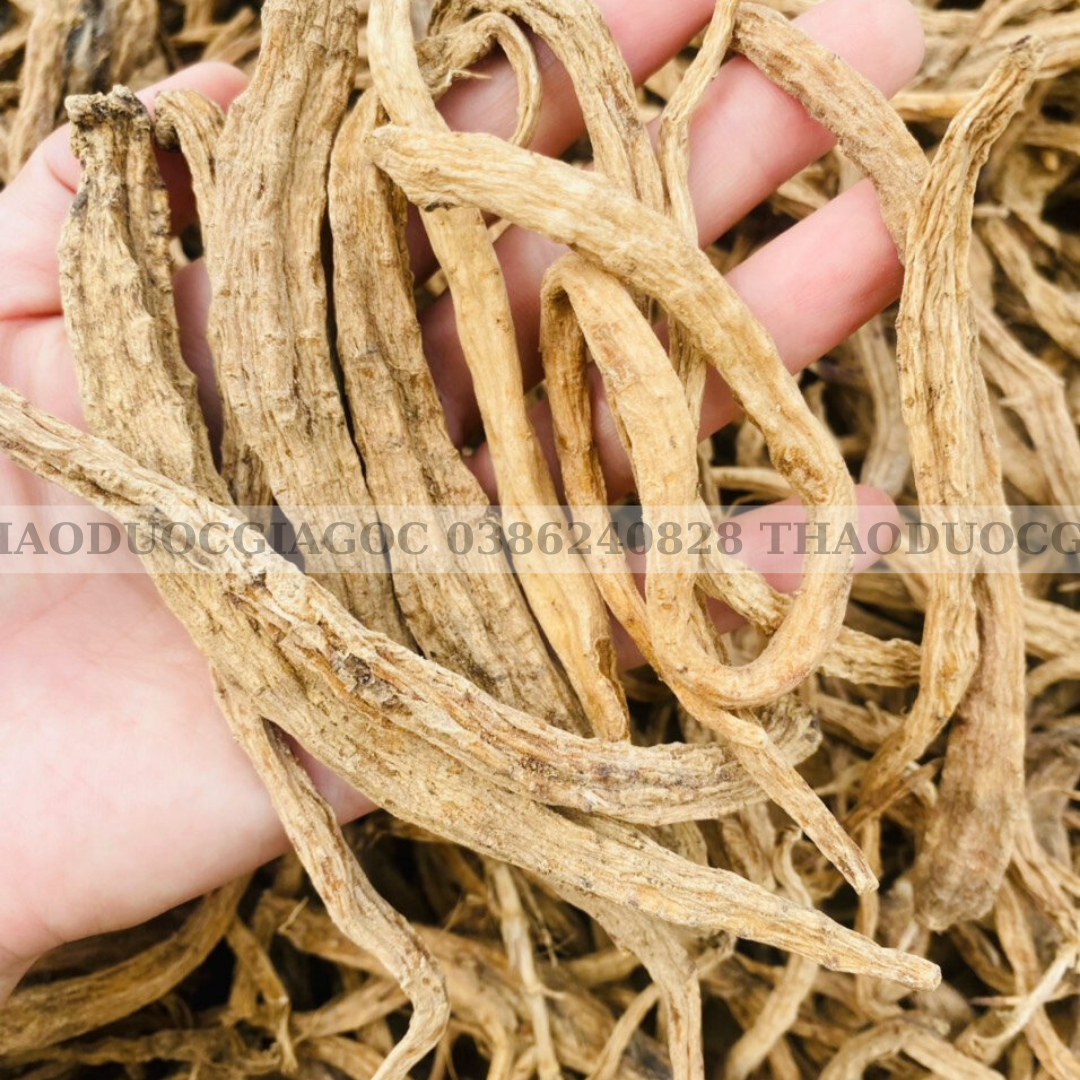 500gr đẳng sâm tây bắc khô loại ngon