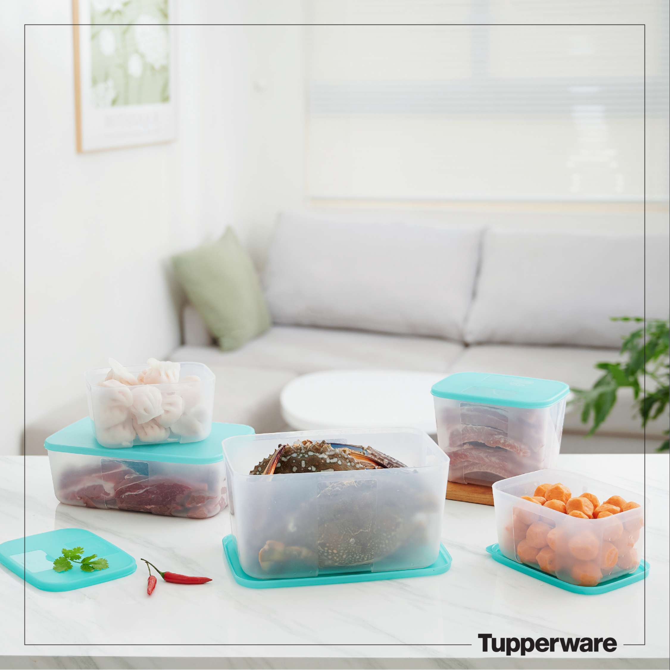 Bộ Hộp Tupperware Trữ Đông Paradise (5 hộp)