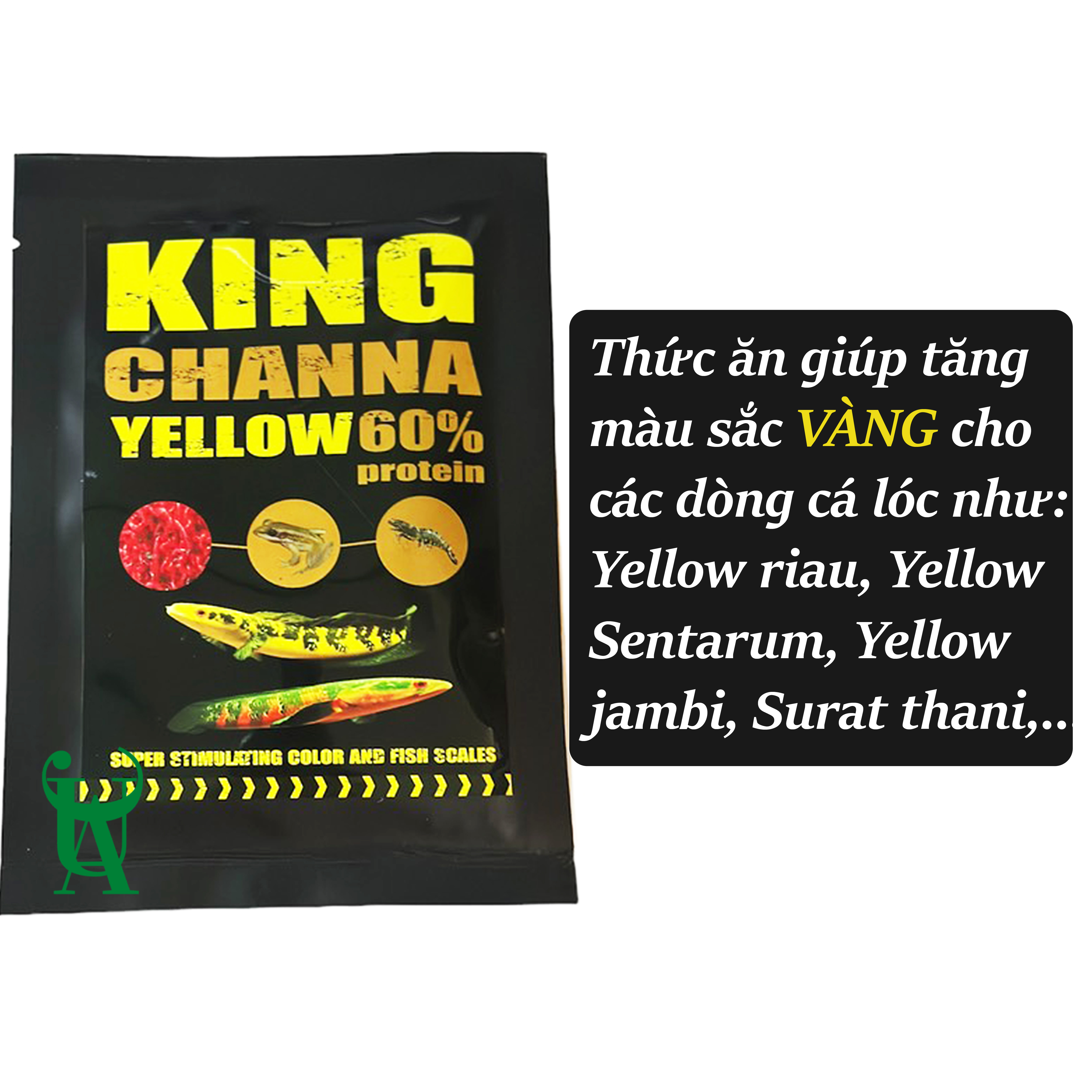 Thức ăn cám kích màu cho cá lóc (Vẩy Rồng, Nữ Hoàng, Vây Xanh,...)