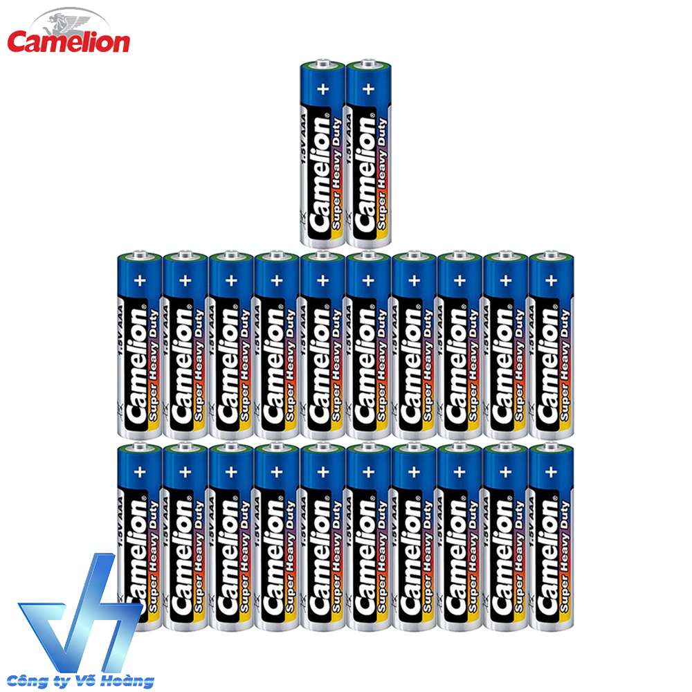22 pin AAA Camelion R03P