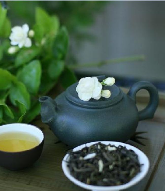 Hạt giống hoa nhài ( hoa lài) - 1 gói 10 hạt