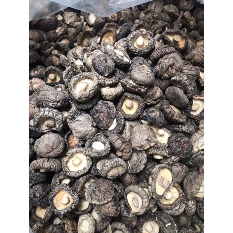 Nấm đông cô đẹp size nhỏ
