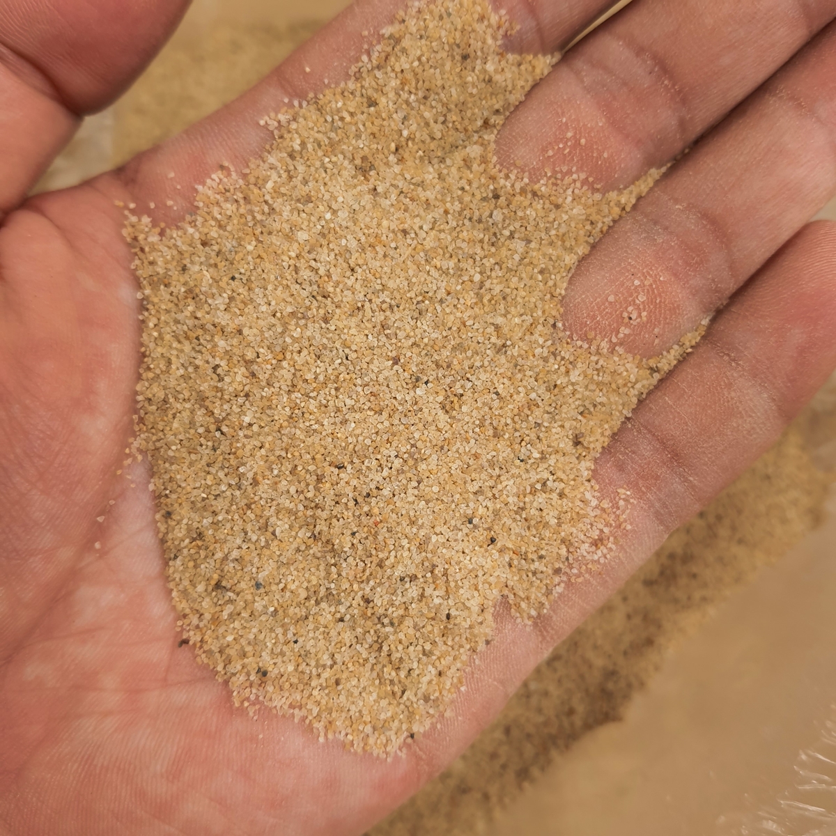 Cát nắng vàng gói 0,5 kg - nền trang trí bể cá, bể thủy sinh