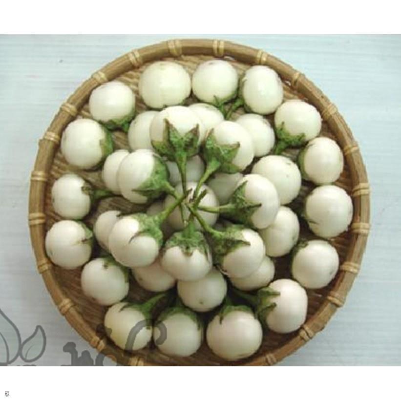 Hạt giống cà pháo trắng - gói 1 gram