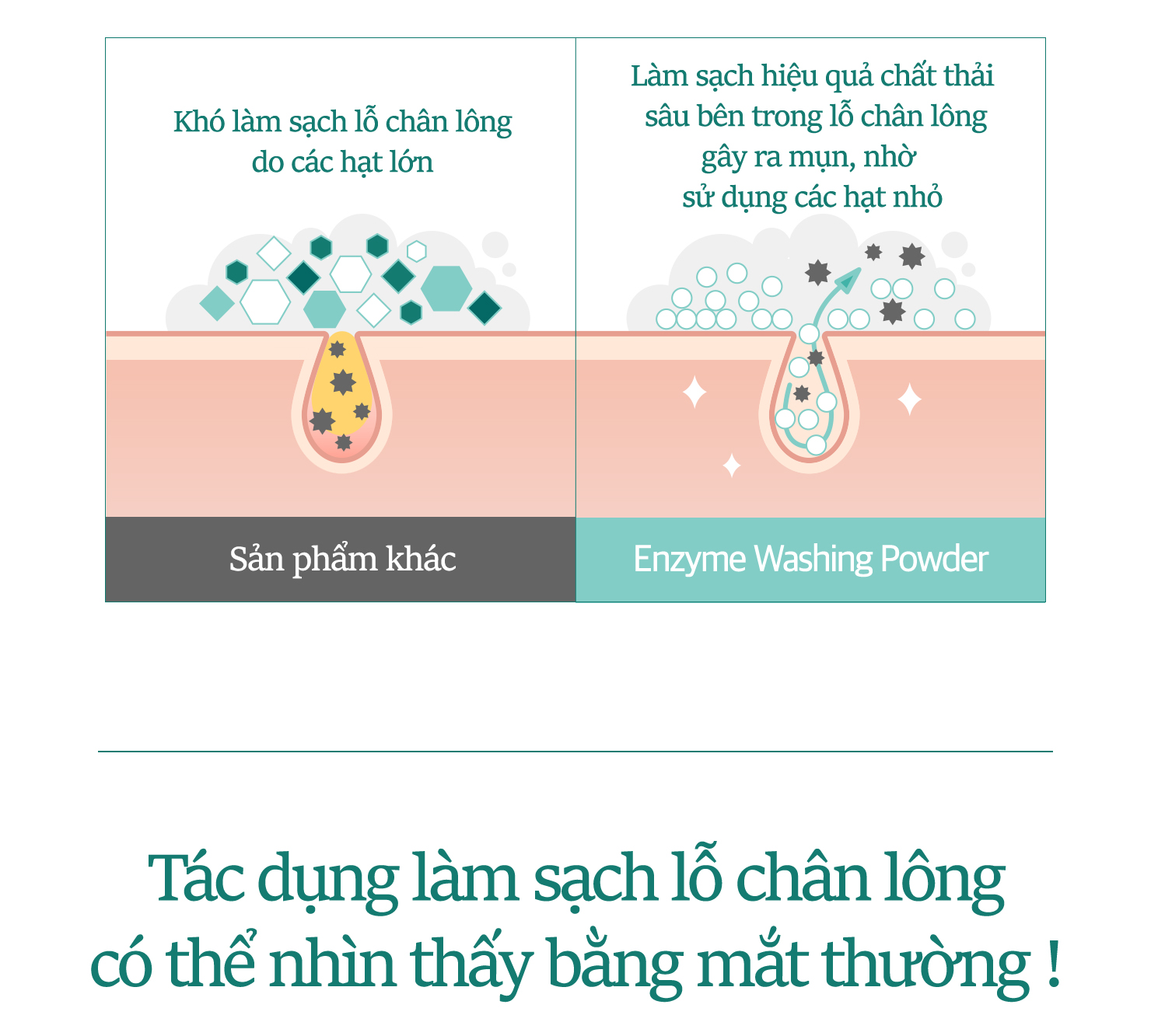 BỘT RỬA MẶT THELAVICOS ENZYME WASHING POWDER