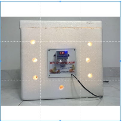 MÁY ẤP TRỨNG MINI THÔNG MINH 2021