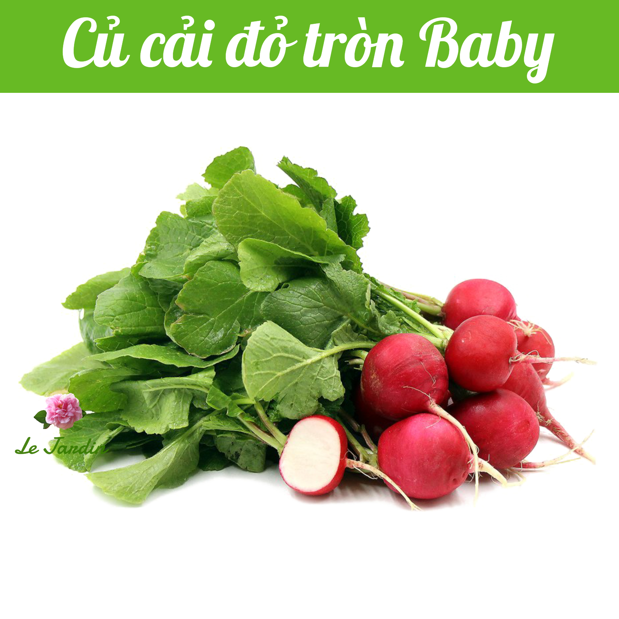 Hạt giống củ cải đỏ (BABY) gói 2gr - RẤT DỄ TRỒNG