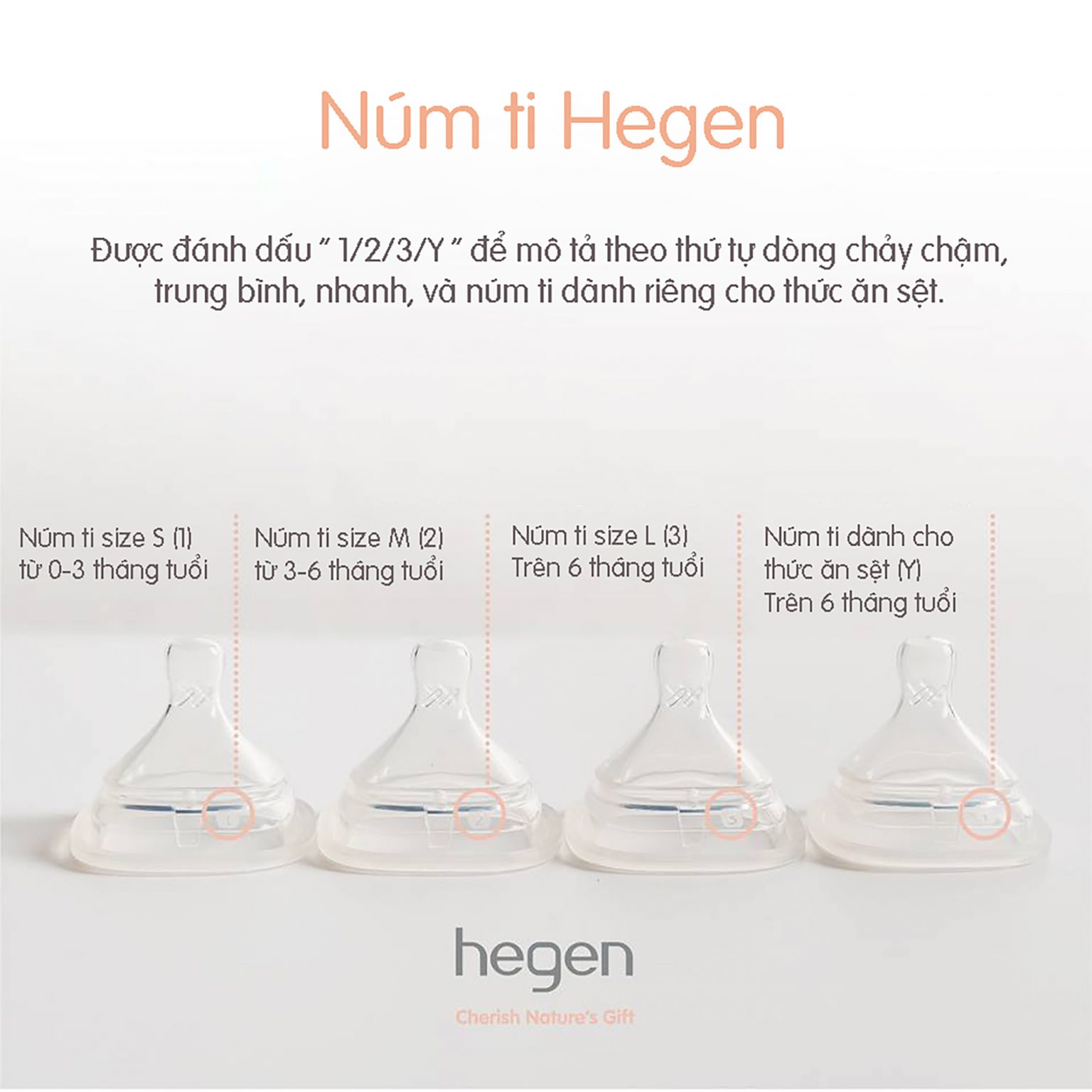 [HCM]Núm ti HEGEN dành cho bé từ 1 - trên 6 tháng tuổi (Set 2 Ty)