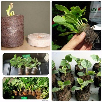 Combo 20 viên nén ươm hạt - viên nén xơ dừa