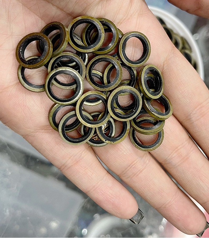 [Giá 1 cặp 2 cái] Long Đền Phốt Cao Su