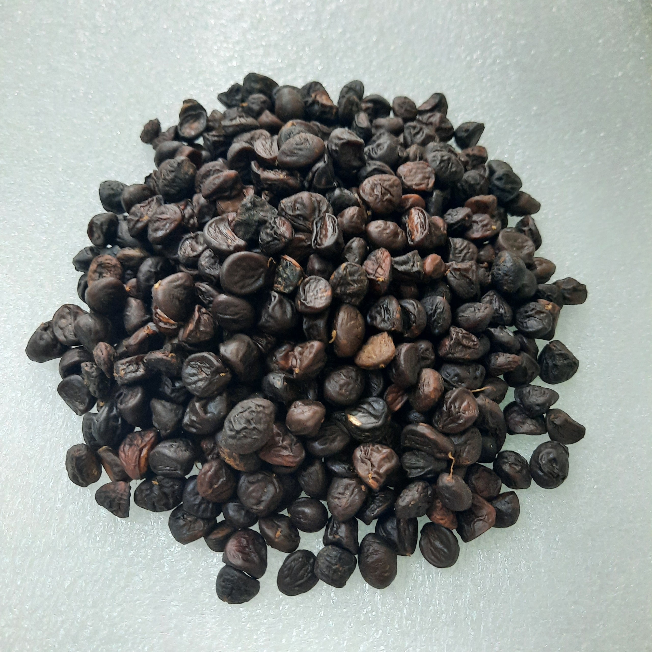 Hạt dổi Tây Bắc; hạt dổi nếp
