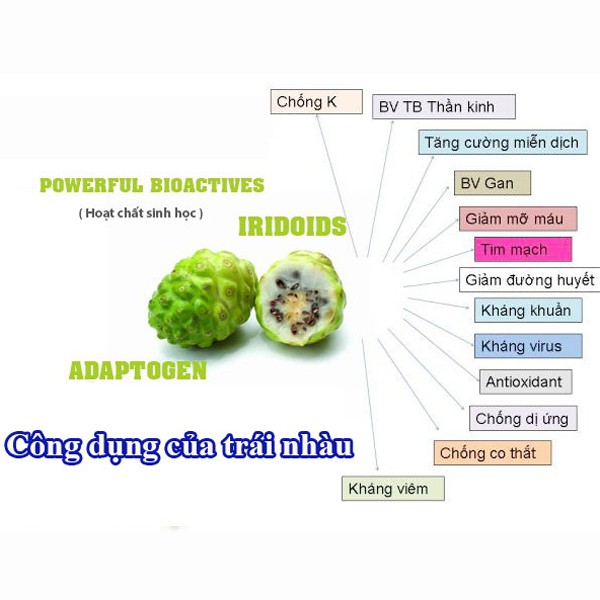[HCM]Bột Trái Nhàu Nguyên Chất 100g