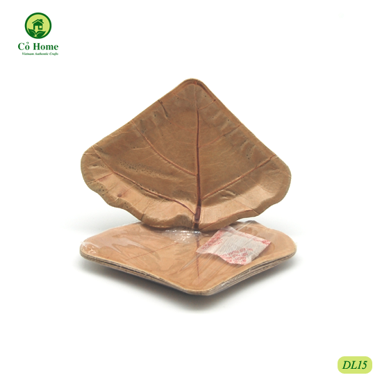 SET 10 ĐĨA LÁ- ĐĨA ĐỘC ĐÁO- CỎ HOME