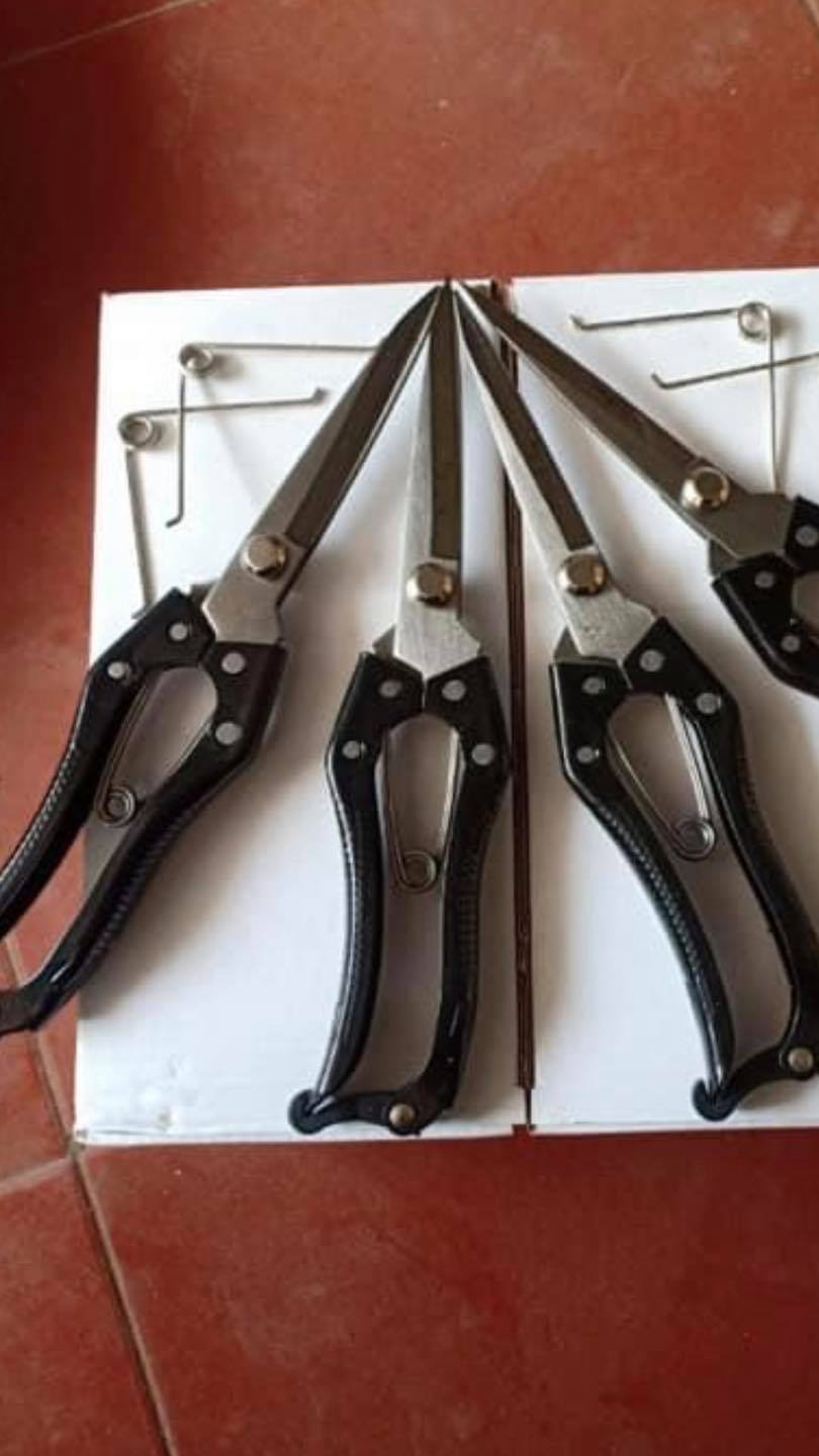 Kéo cắt tỉa cây cảnh mũi nhọn dài 24cm sắc bén LV222