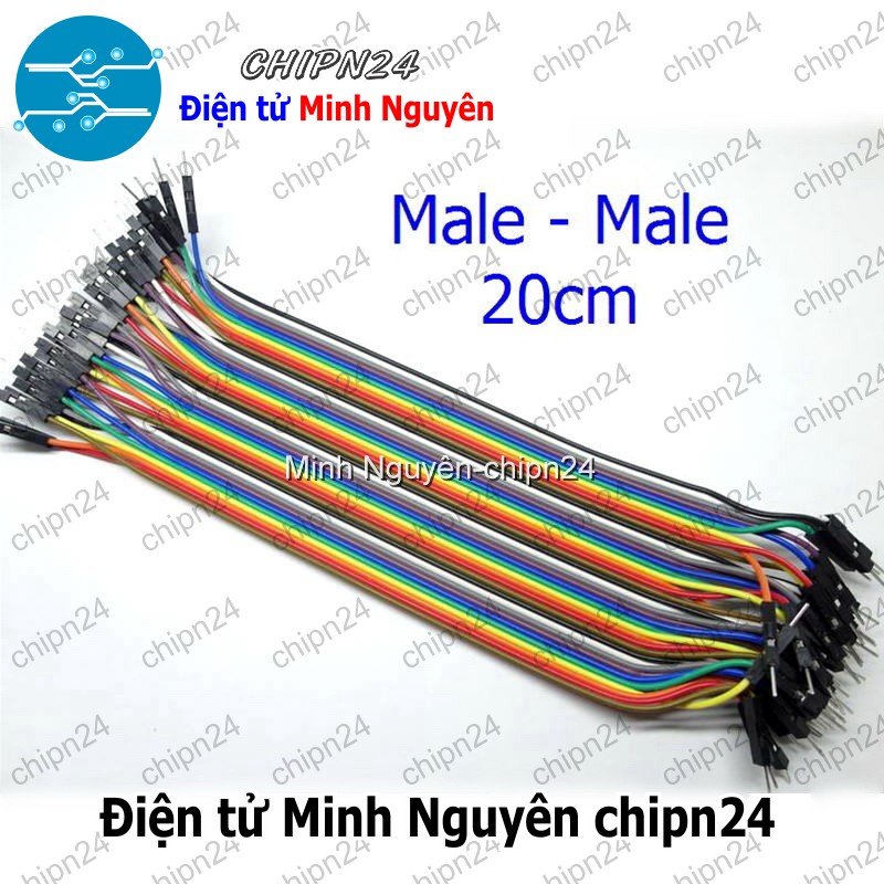 [20 sợi] (P68) Dây Cắm Test Board 20cm Đực-Đực - HH001146