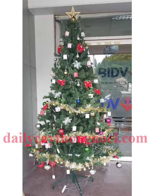 cây thông noel màu xanh 2m1
