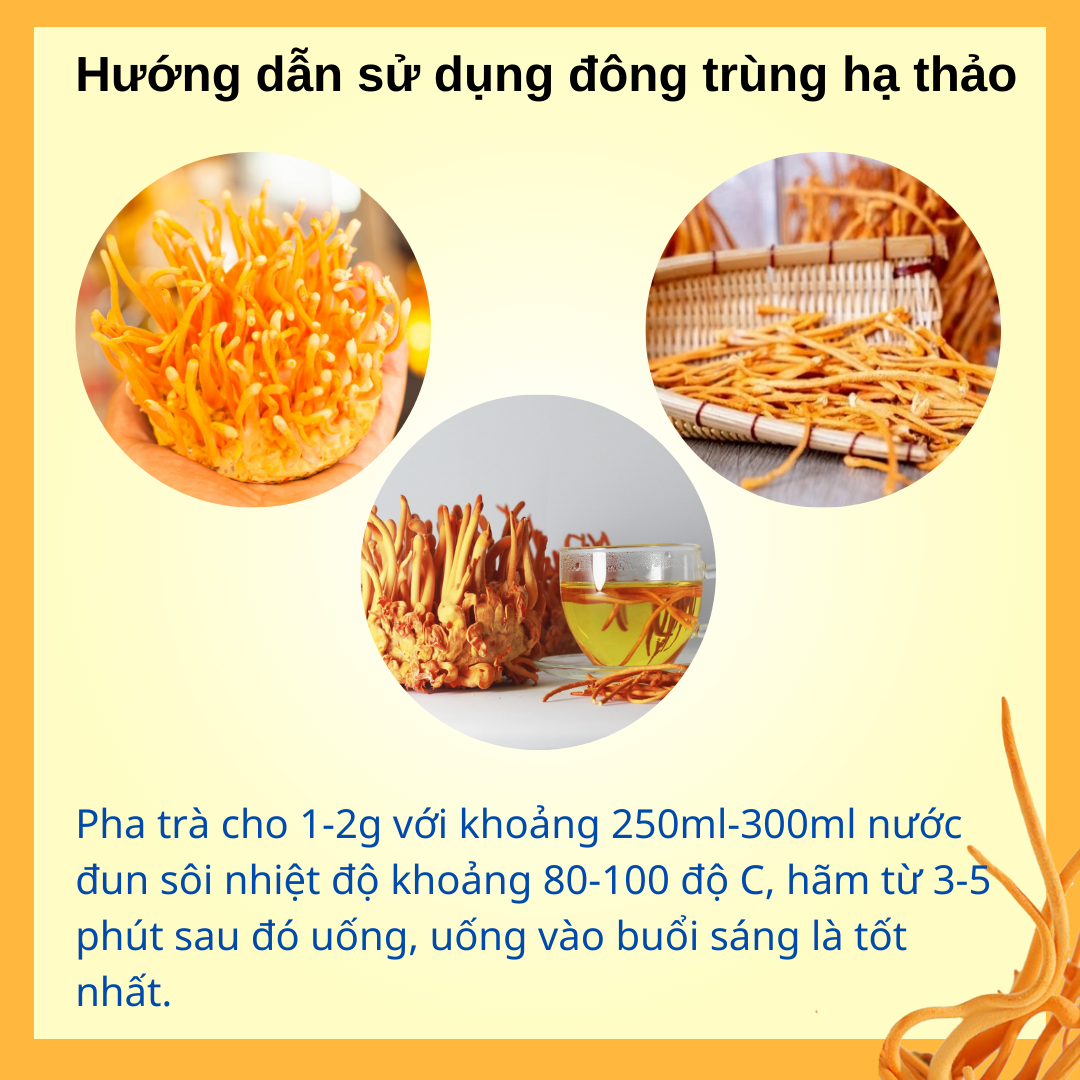 Đông trùng hạ thảo sấy thăng hoa dạng sợi [túi zip]